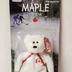 Maple The Bear Beanie Baby TY 