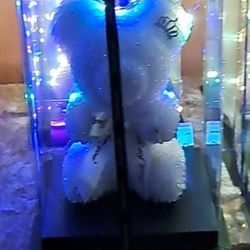 $50  Valentines  Box Bear.pearl Light Up Led