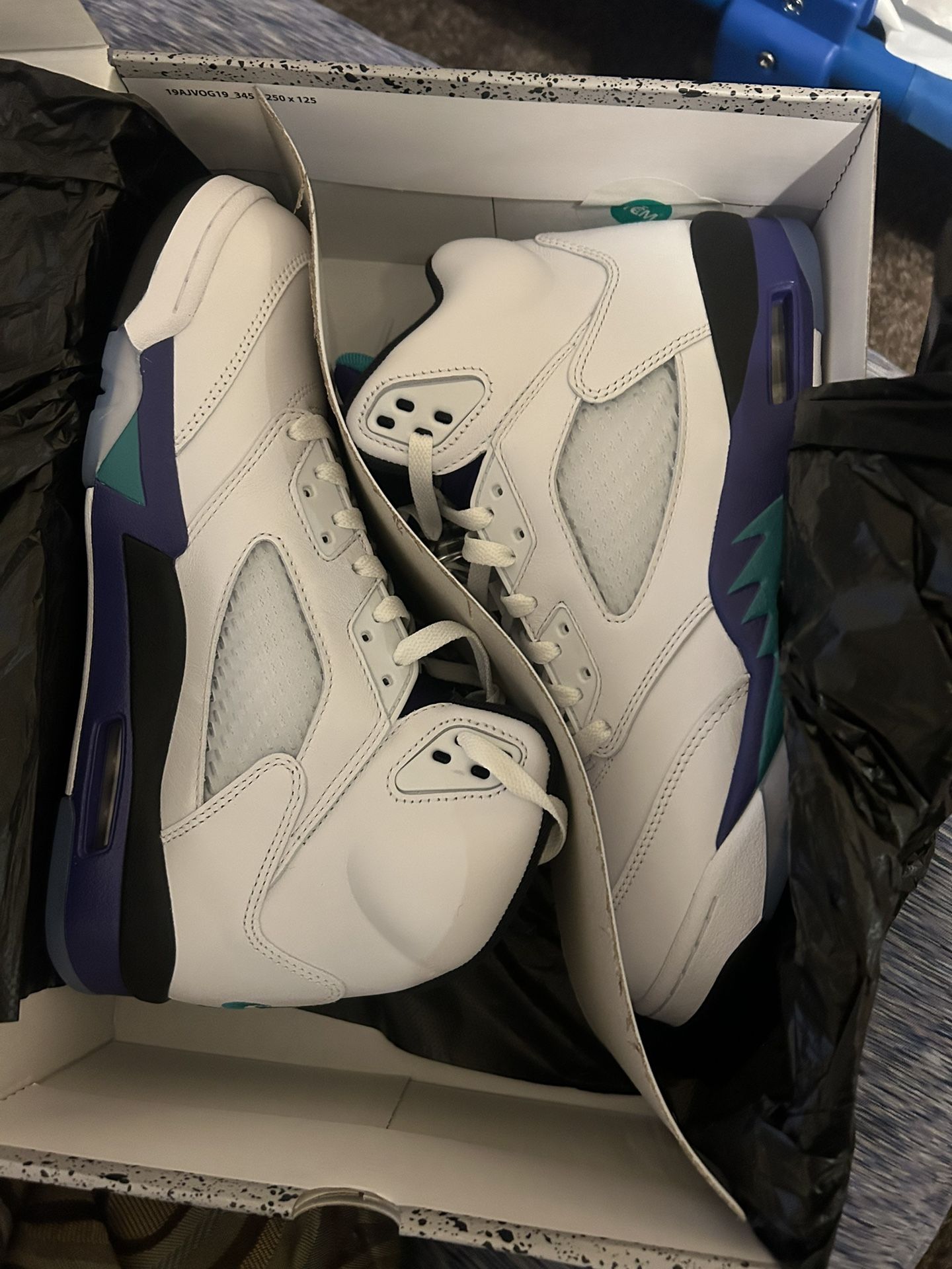 Grape Air Jordan Retro 5