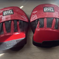 Cleto Reyes boxing more