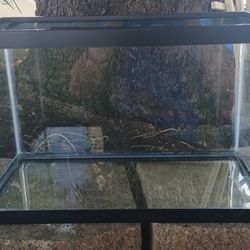 5.5 Gallon Standard Glass Rectangle Aquarium
