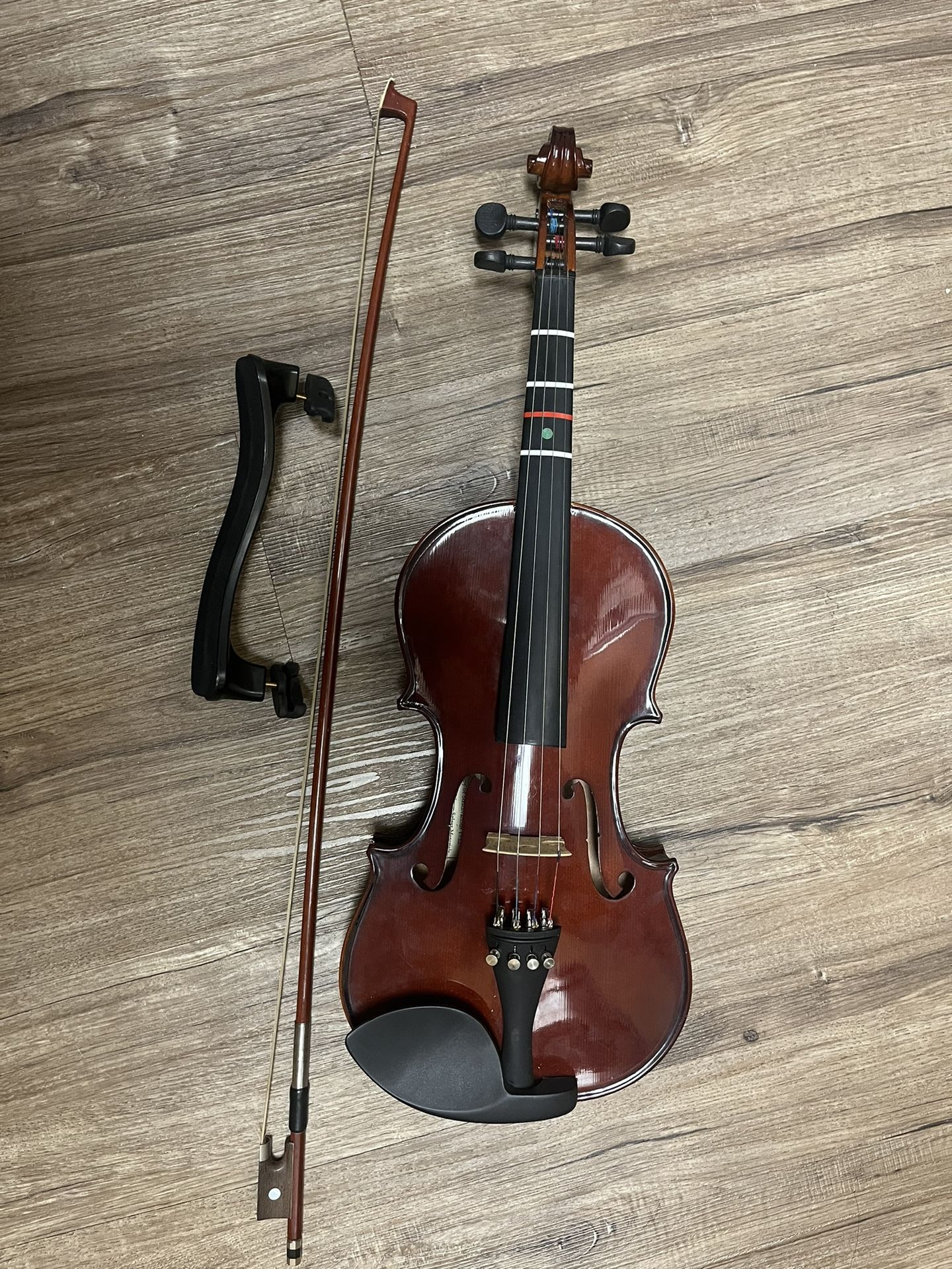 Violin