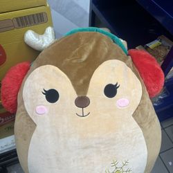 Darla Squishmallow