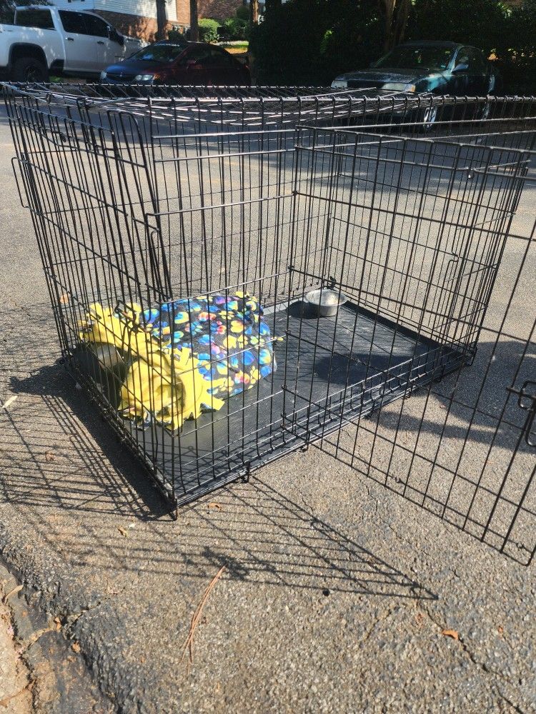 Dog Cage 