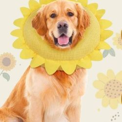 NEW! Inflatable Recovery Dog/Cat Collar Adjustable, Yellow Sunflower, XL (Neck:17.7"-23.6")