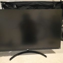 LG 32in Monitor