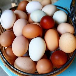 Fresh Organic Eggs  