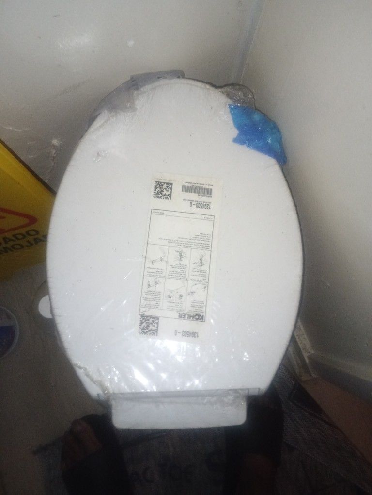 Toilet Seat