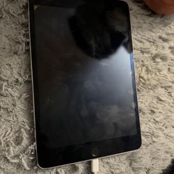 Ipad Mini 4