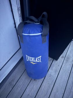 Kids Hanging Punching Bag