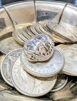Turtle shell silver poured - pickup at angleton