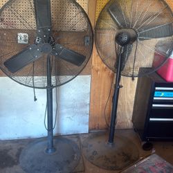Fan 
