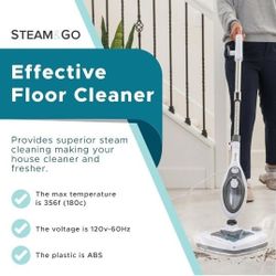 Steam Cleaner