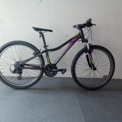 BICYCLE LIV GIANT 21 SPEED BRAND NEW 