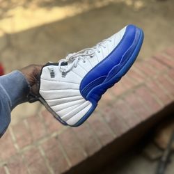 Jordan 12s “blueberry 12s”