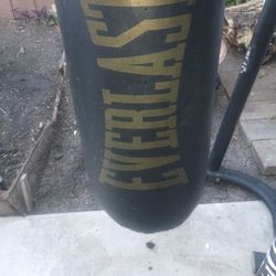 Everlast Boxing And Workout Station