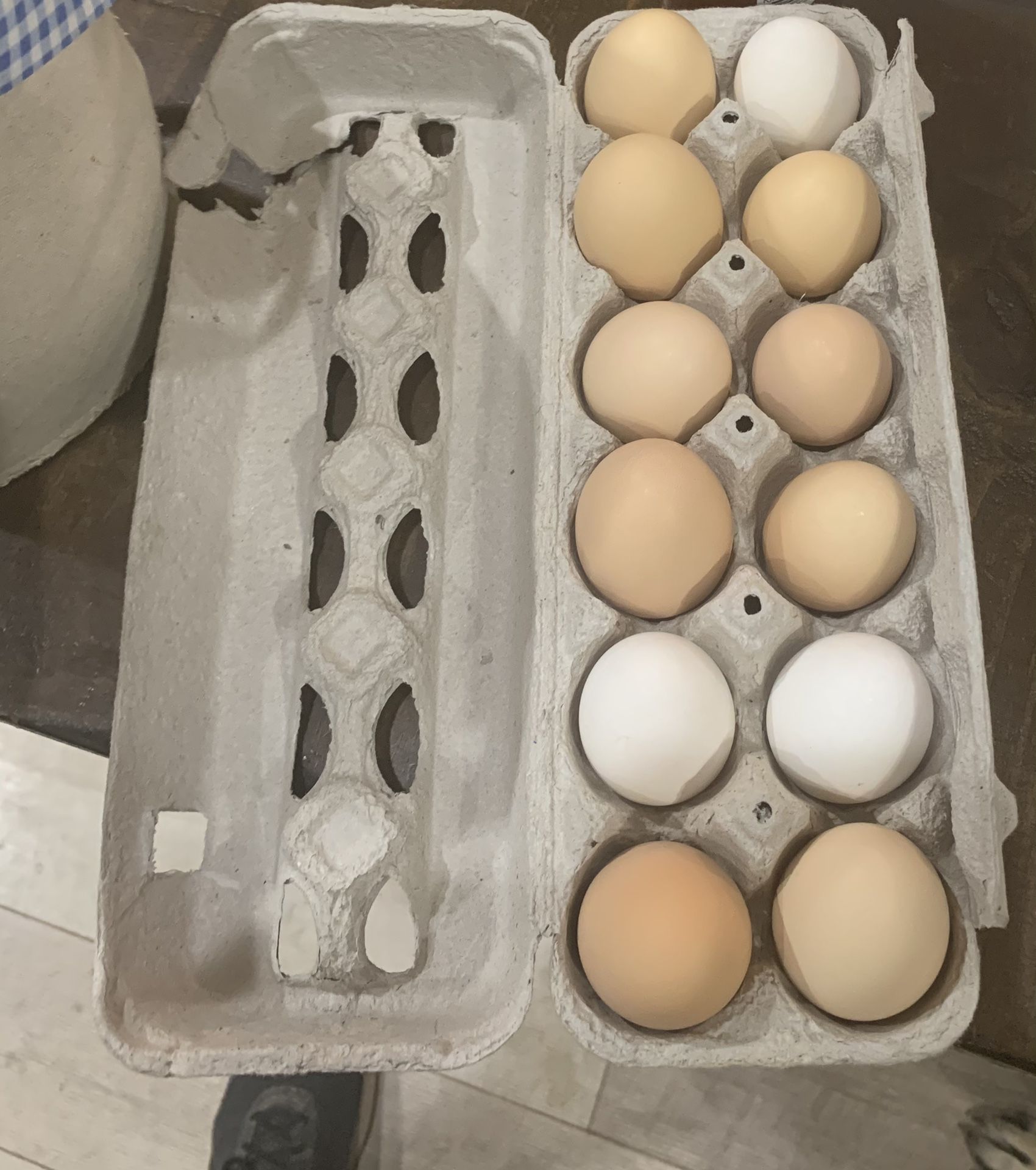 Farm fresh chicken eggs