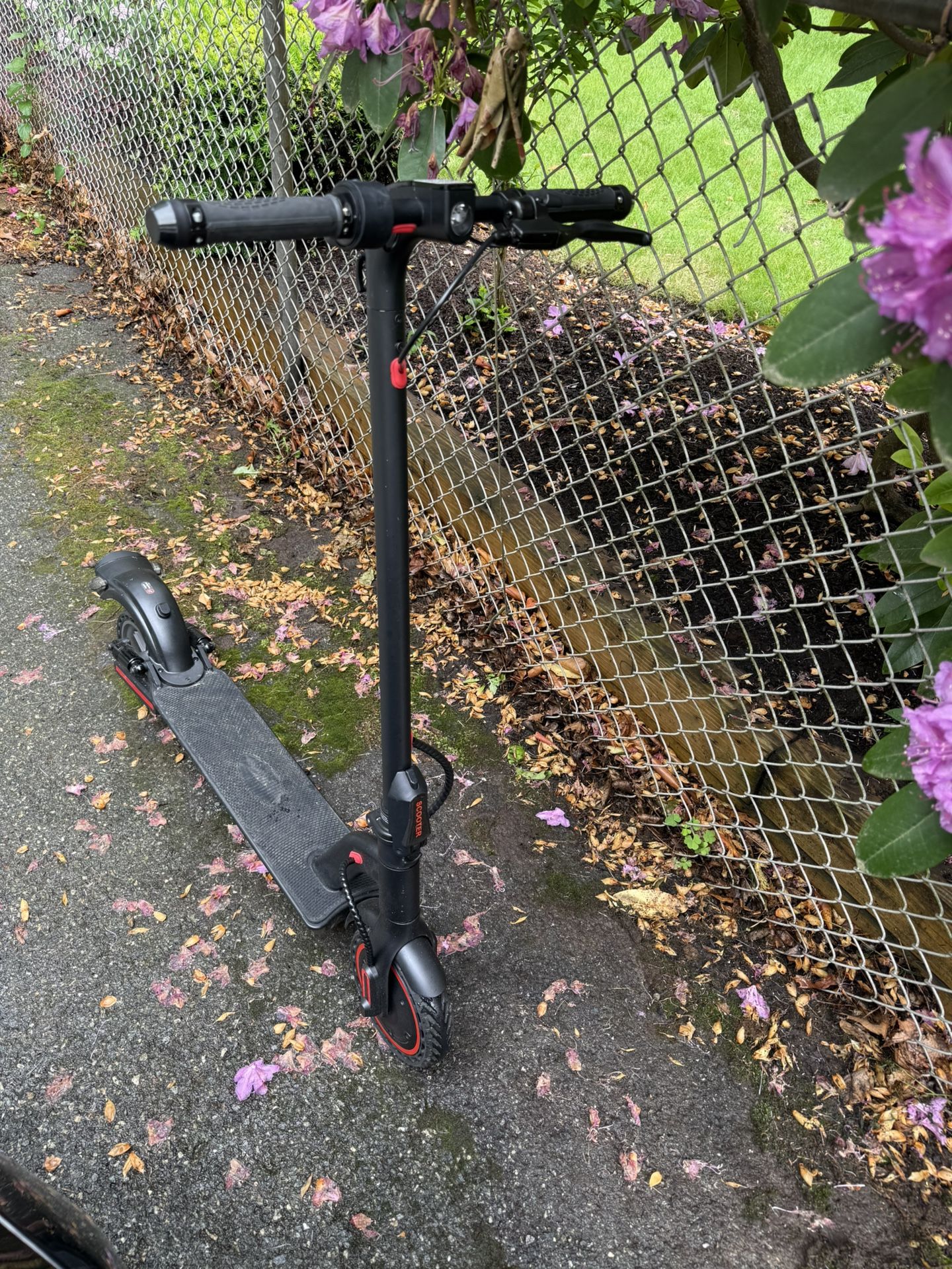 Electric Scooter With Bluetooth Control Up To 20m/hr