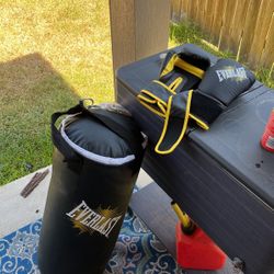 Punching Bag And Gloves 
