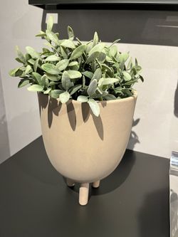 Ceramic plant Pot