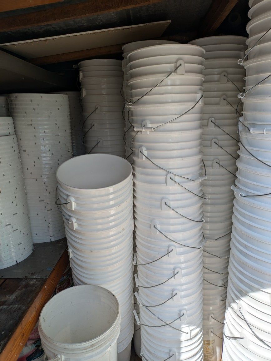 Empty 5 Gallons Buckets for Sale in Rancho Cucamonga, CA OfferUp