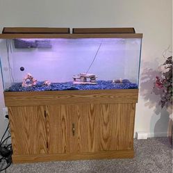 Fish tank FULL SETUP 70 gallon 