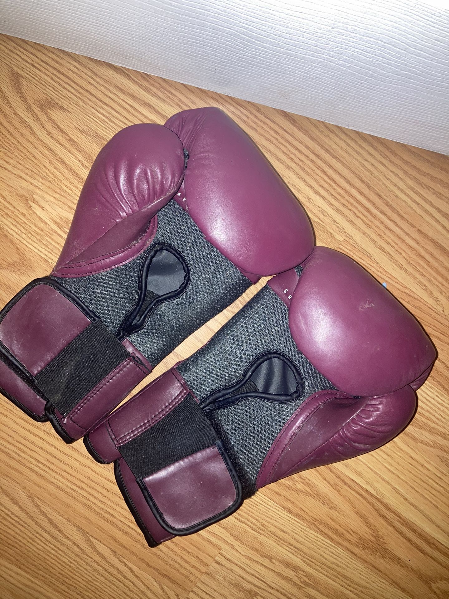 14oz Everlast Elite Boxing Gloves