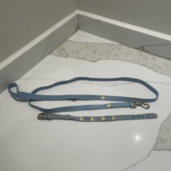 Blue Suede Dog Leash And Collar