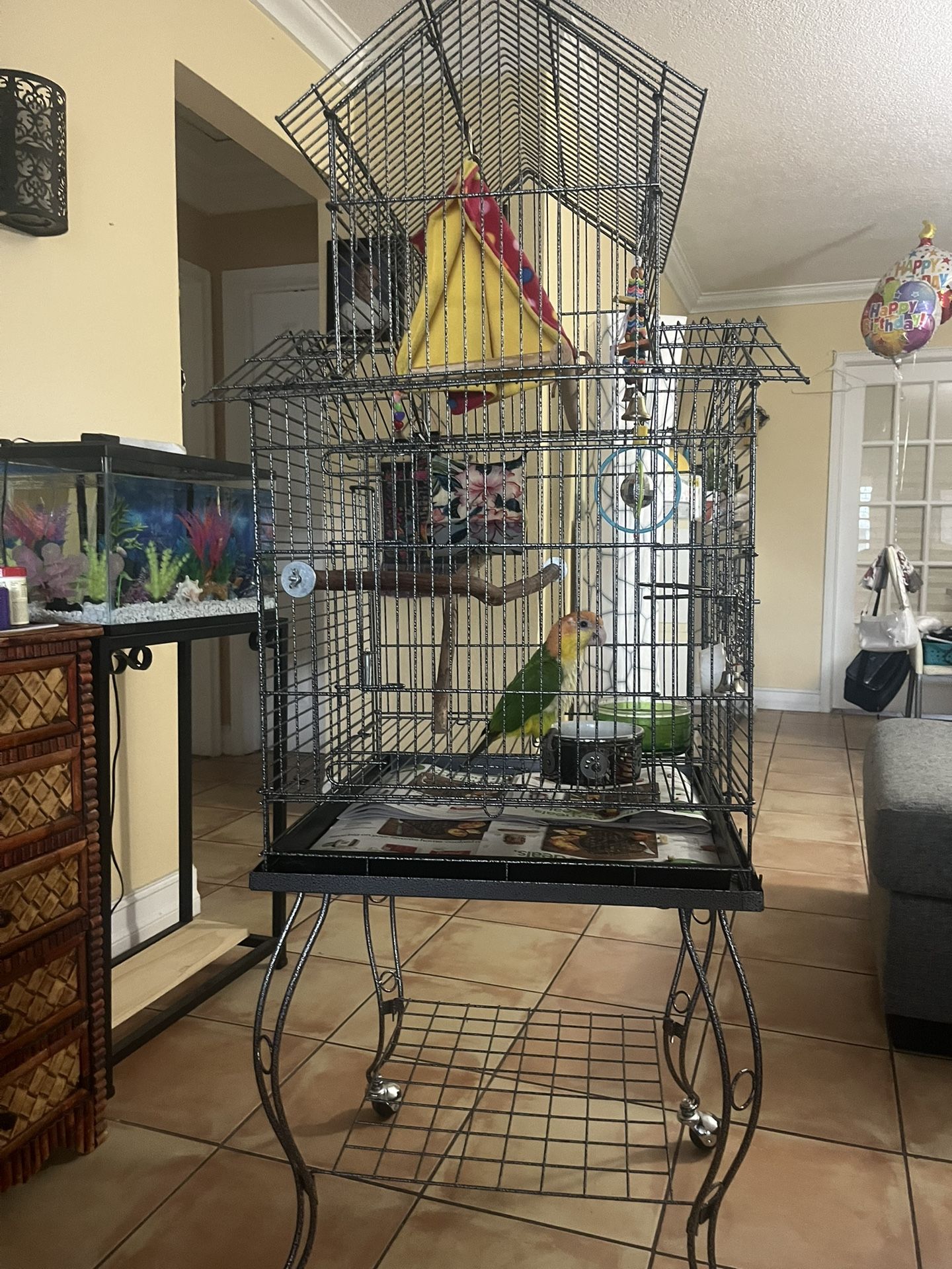 CAGE & ALL