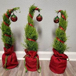 $10 Living Grinch Trees