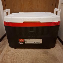 Igloo quantum 55 quart cooler