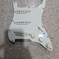 Squire standard series Stratocaster loaded pickgaurd