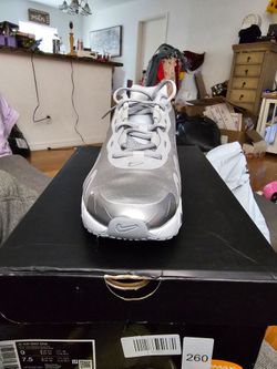 Nike Air Max DN8 Wolf Grey Metallic Silver