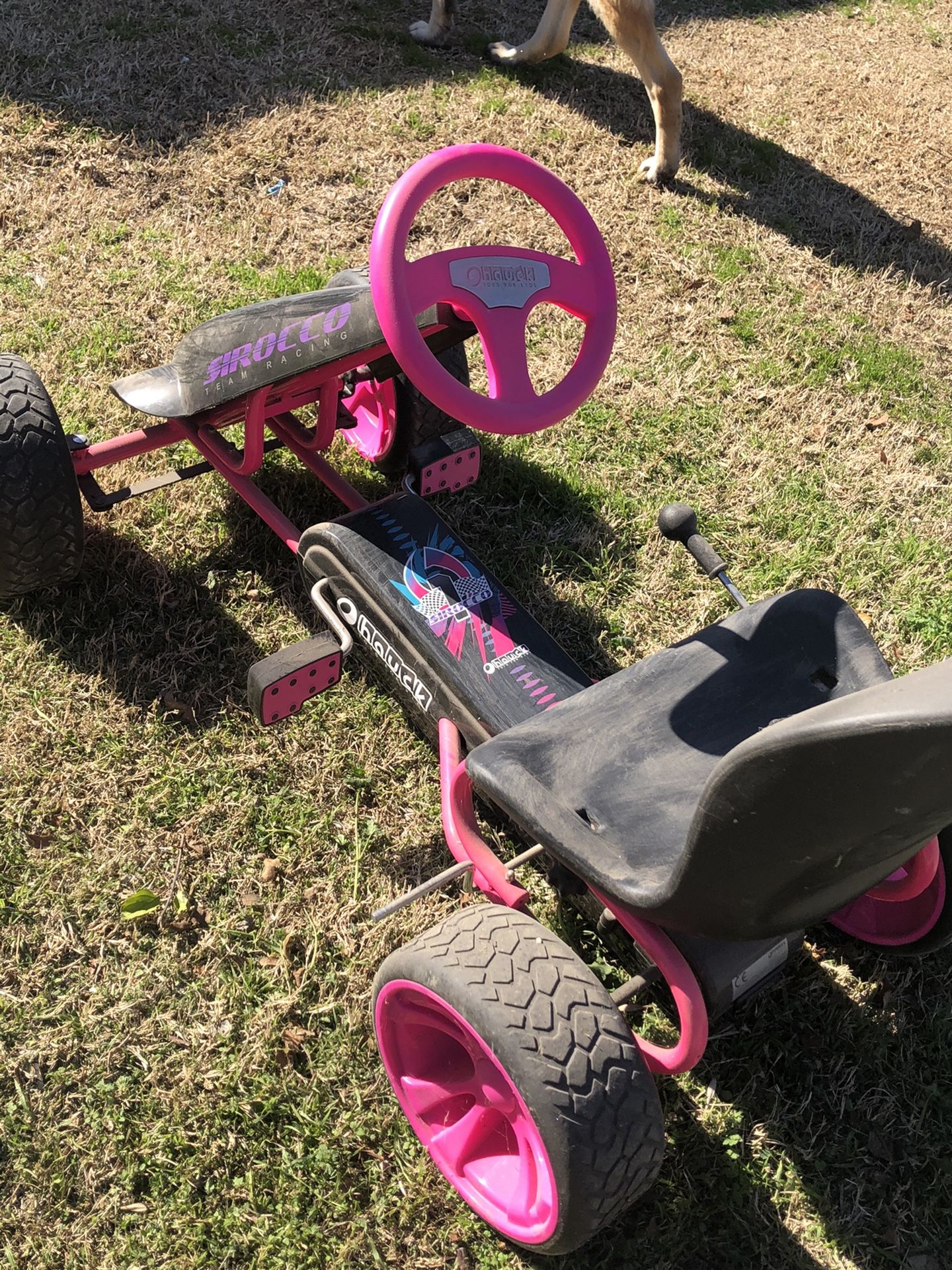 Girls petal bike