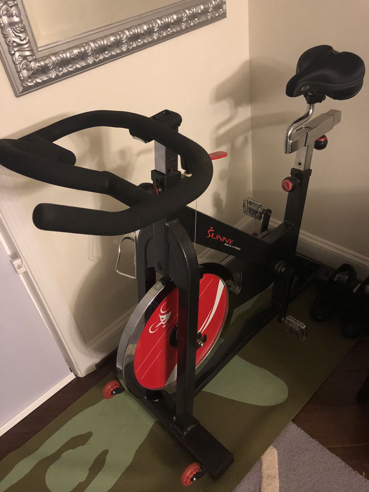 Spin Bike