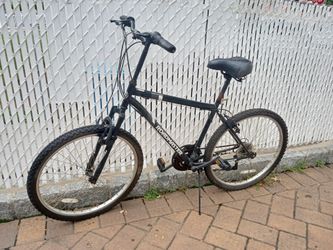 XL Roadmaster Bike