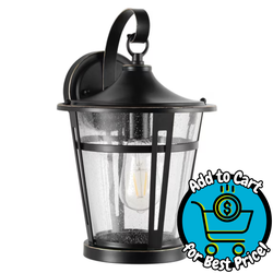 SAFAVIEH Raine LED Black Aluminium Outdoor Wall Sconce with Clear Glass Shade