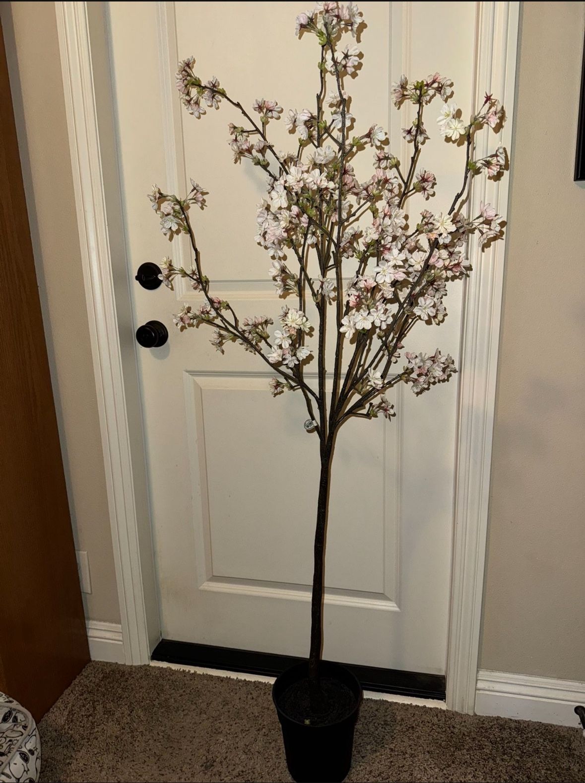 Cherry Blossom Tree