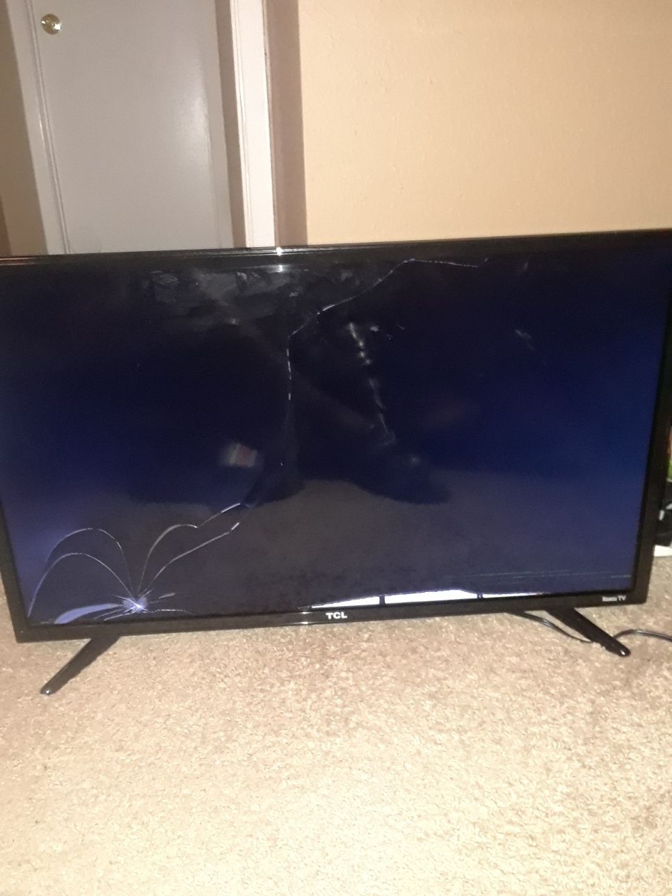 32 in TCL roku tv ''Water damaged'' CAN BE FIXED