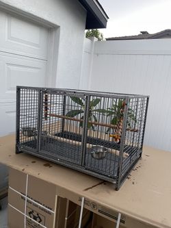 Bird Parrot Cage