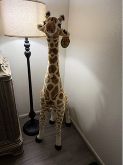 Tall giraffe