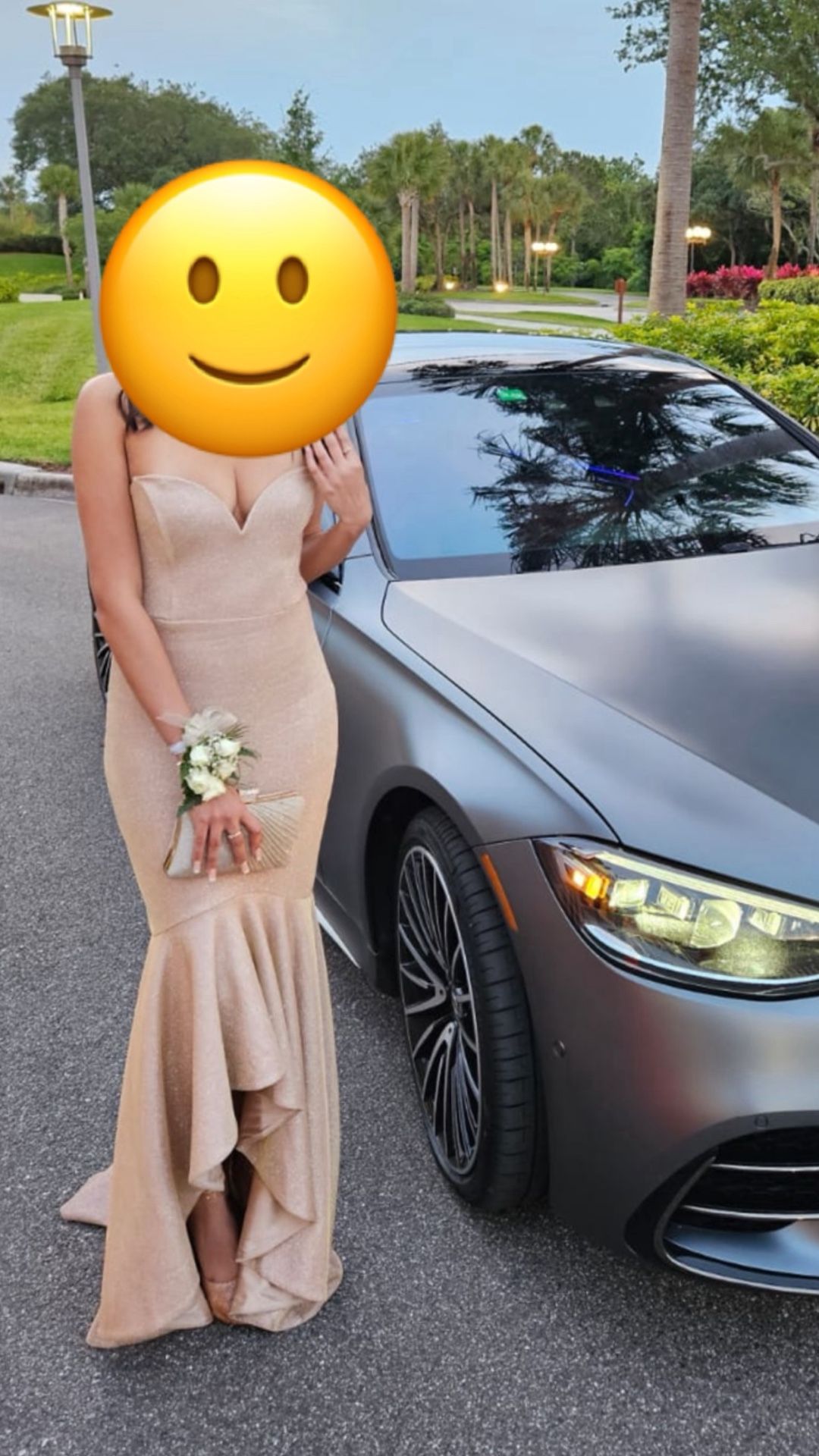 Prom Dress(Purse Included)