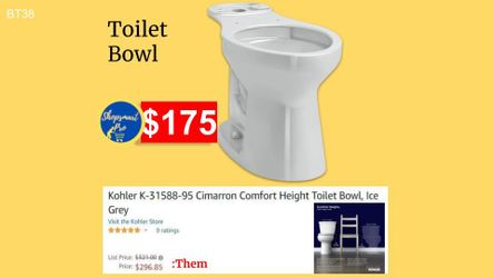 Toilet Bowl 