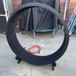 Cat Wheel