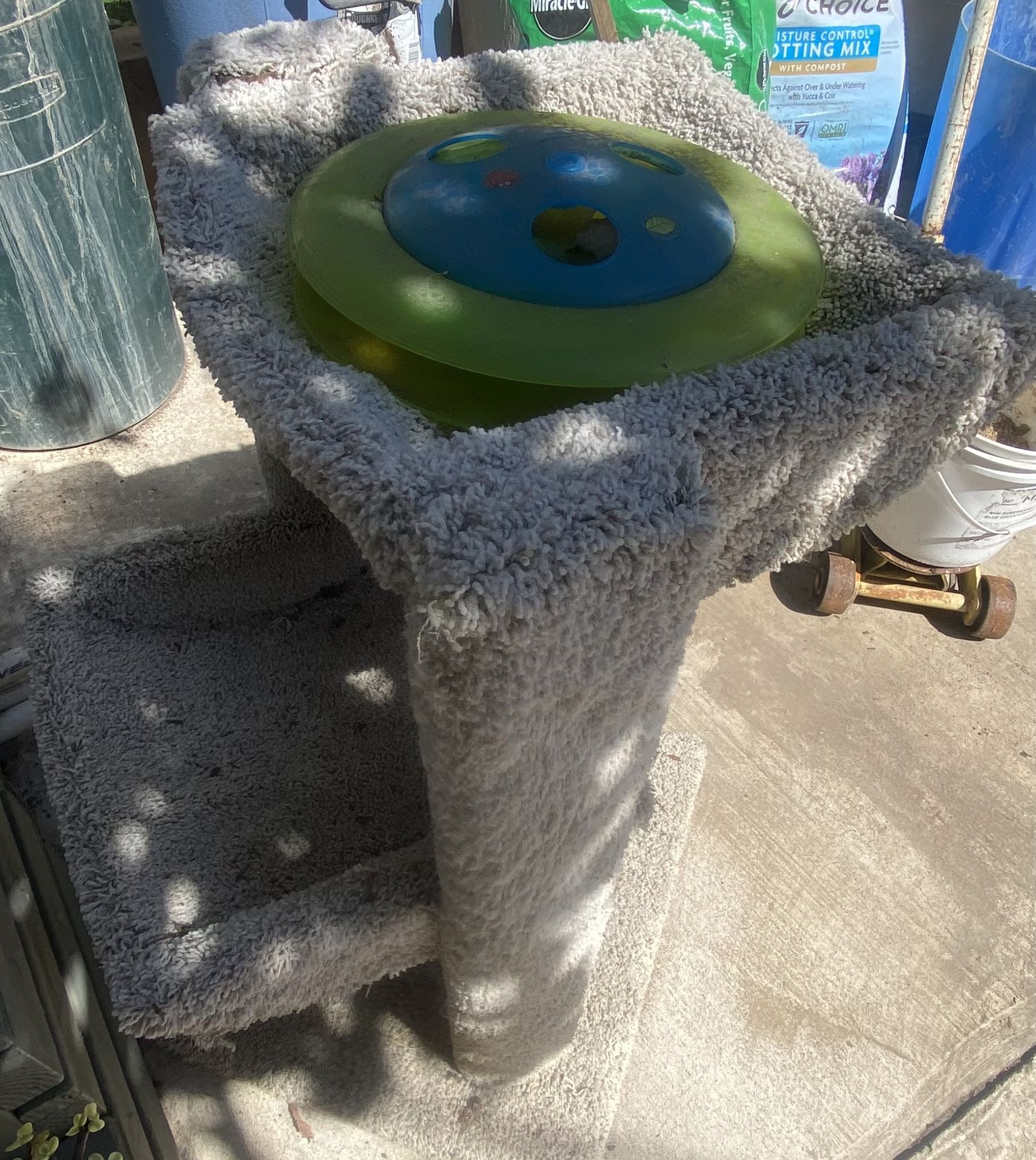 Cat Tree And Toy Free