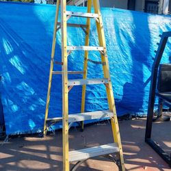 6 Ft Ladder
