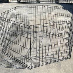 Dog Fence