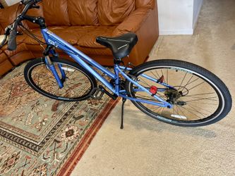 LADIES BIKE