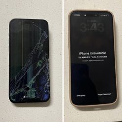 iPhone Pro Max Repair