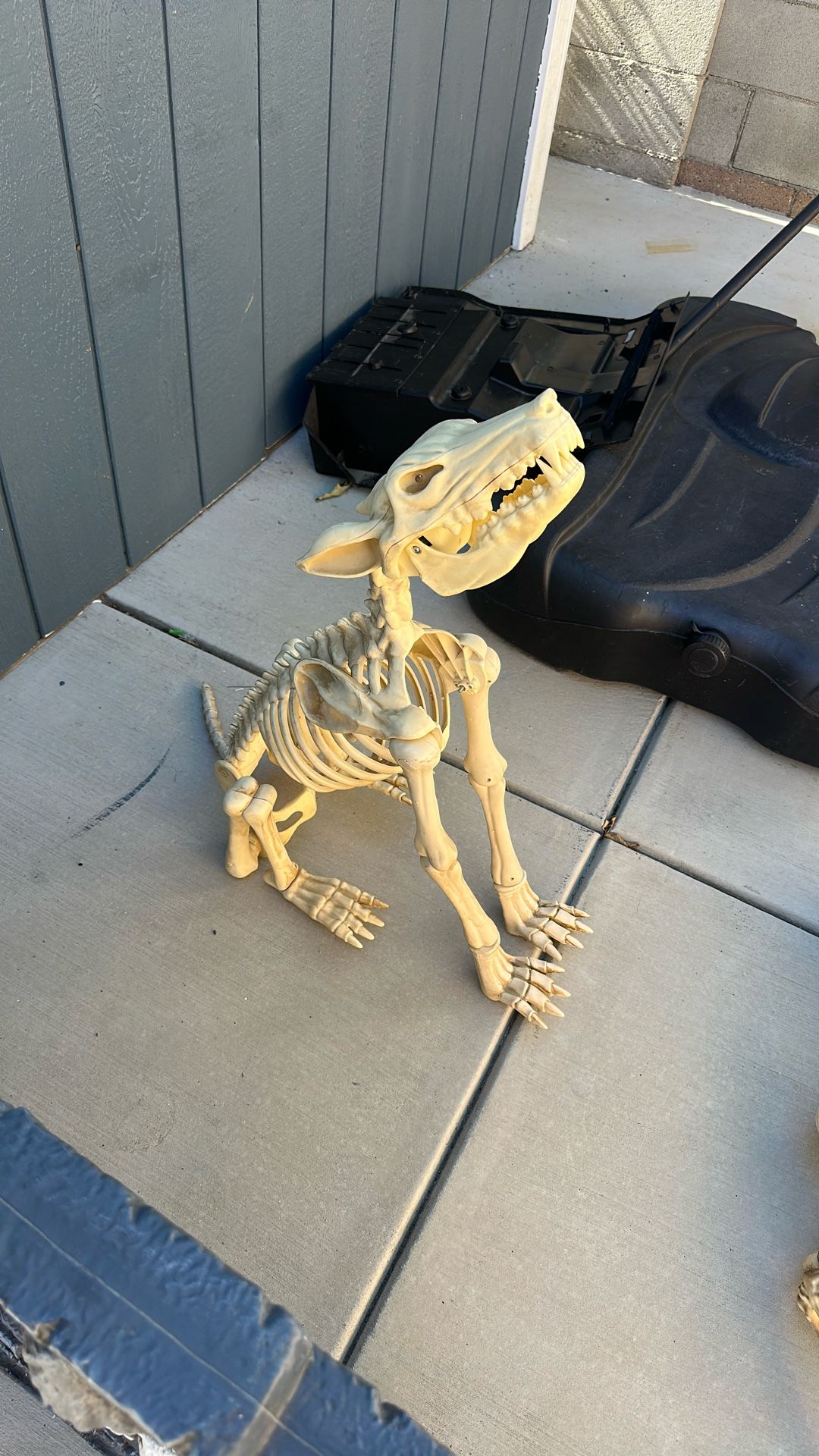 Skeleton Dog